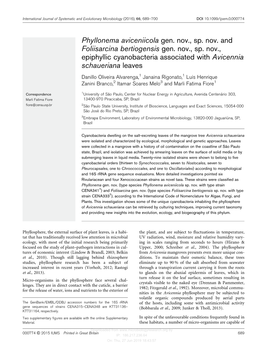Phyllonema Aviceniicola Gen. Nov., Sp. Nov. and Foliisarcina Bertiogensis Gen