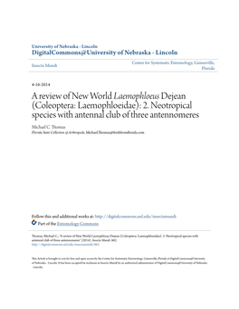 Coleoptera: Laemophloeidae): 2