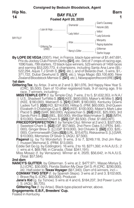 BAY FILLY Barn 1 Hip No. 14