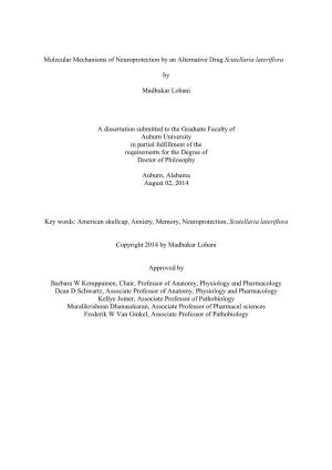 Molecular Mechanisms of Neuroprotection by an Alternative Drug Scutellaria Lateriflora by Madhukar Lohani a Dissertation Submitt