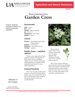 Garden Cress