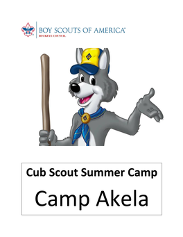 Cub Scout Summer Camp Camp Akela