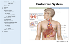 Endocrine System IUSM – 2016