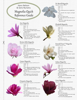 Magnolia Quick Reference Guide