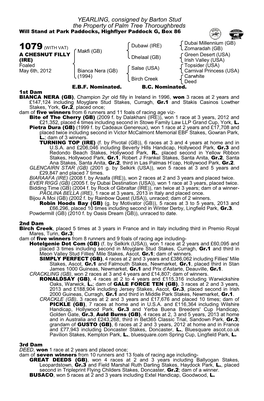YEARLING, Consigned by Barton Stud the Property of Palm Tree Thoroughbreds Will Stand at Park Paddocks, Highflyer Paddock G, Box 86