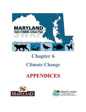 Chapter 6 Appendices