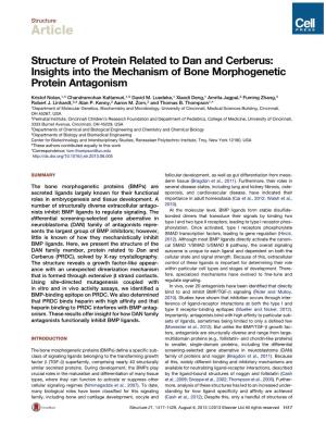 Structure of Protein Related to Dan and Cerberus: Insights Into the Mechanism of Bone Morphogenetic Protein Antagonism