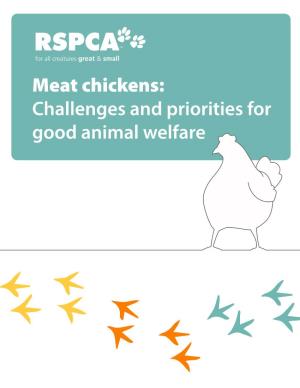 Meat Chickens: Challenges and Priorities for Good Animal Welfare © RSPCA Australia 2020