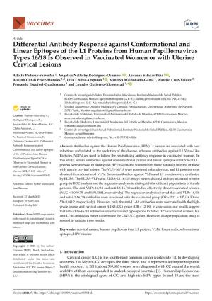 Differential Antibody Response Against Conformational and Linear Epitopes of the L1 Proteins from Human Papillomavirus Types 16