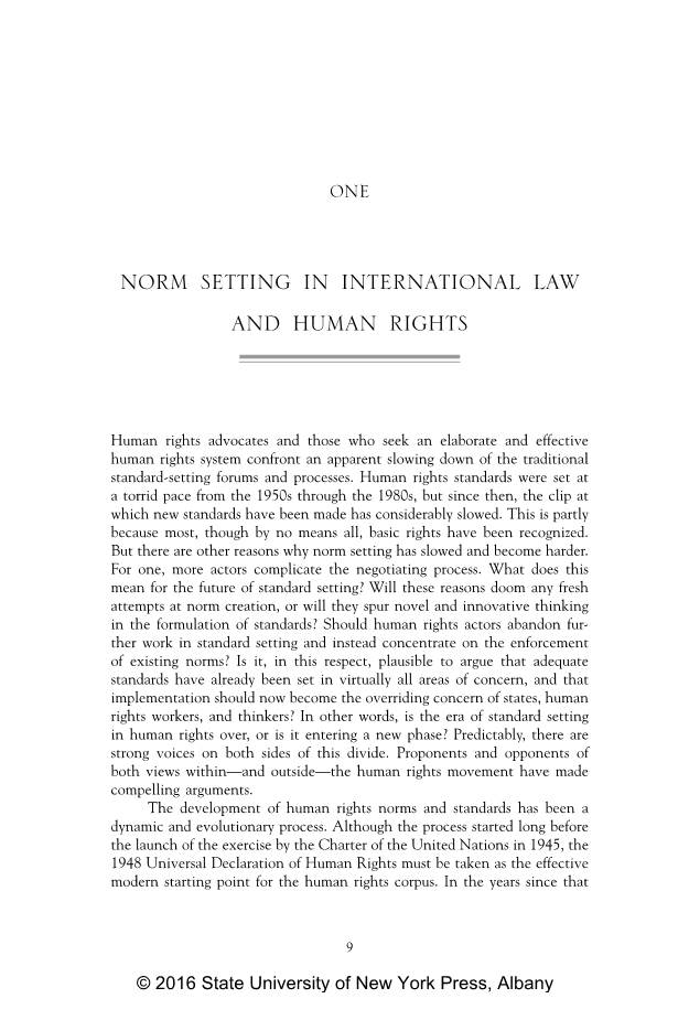 Norm Setting in International Law and Human Rights