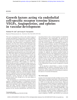 Growth Factors Acting Via Endothelial Cell-Specific Receptor Tyrosine Kinases: Vegfs, Angiopoietins, and Ephrins in Vascular Development