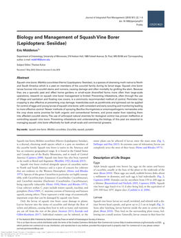 Biology and Management of Squash Vine Borer (Lepidoptera: Sesiidae)