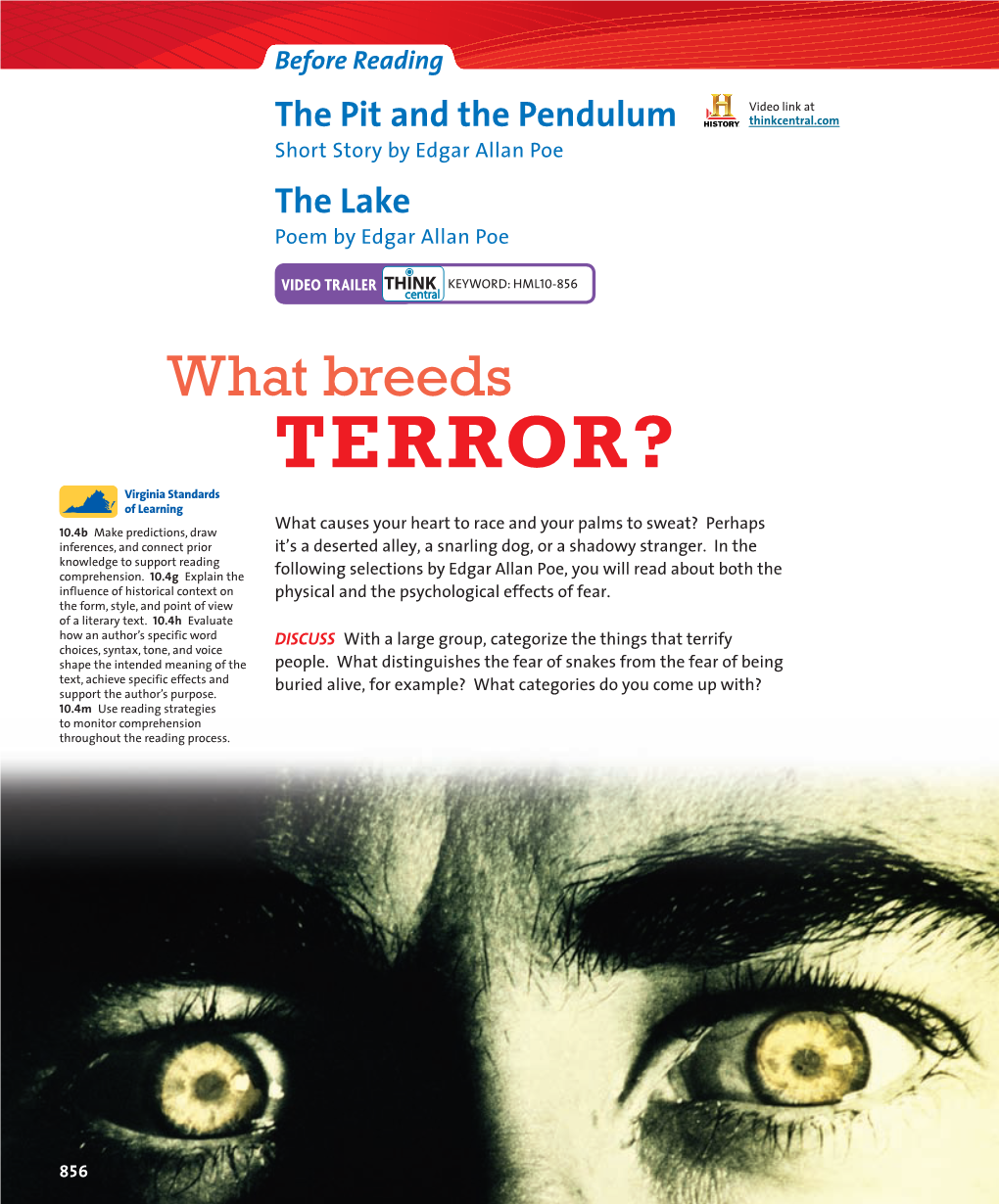 TERROR? the Pit and the Pendulum
