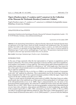 Tigers (Panthera Tigris, P. Sondaica and P. Sumatrae) in the Collection of the Museum Für Tierkunde Dresden (Carnivora: Felidae) Tygři (Panthera Tigris, P