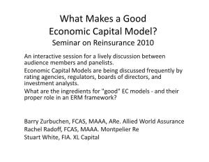 What Makes a Good Economic Capital Model? Seminar on Reinsurance 2010 an Interactive Session for a Lively Discussion Between Audience Members and Panelists