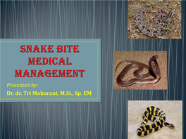 Snake Bite Medical Management