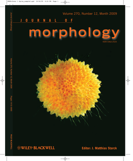 Comparative Anatomy of Internal Incubational Sacs in Cupuladriid Bryozoans and the Evolution of Brooding in Free-Living Cheilostomes