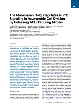 The Mammalian Golgi Regulates Numb Signaling in Asymmetric Cell Division by Releasing ACBD3 During Mitosis