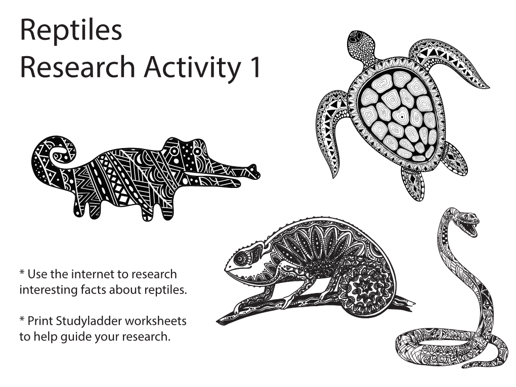 Reptiles Research Activity 1
