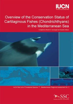 IUCN Shark Specialist Group Overview of the Status of Mediterranean Cartilaginous Fishes