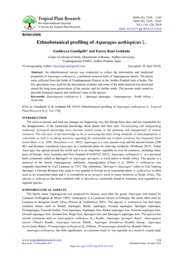 Ethnobotanical Profiling of Asparagus Aethiopicus L
