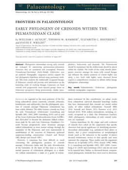 EARLY PHYLOGENY of CRINOIDS WITHIN the PELMATOZOAN CLADE by WILLIAM I