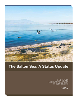 The Salton Sea: a Status Update