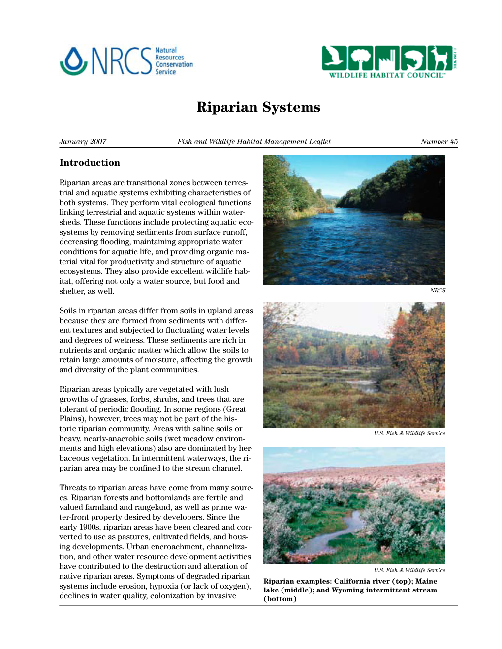 Riparian Systems