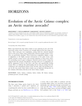 HORIZONS Evolution of the Arctic Calanus Complex
