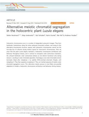 Alternative Meiotic Chromatid Segregation in the Holocentric Plant Luzula Elegans