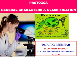 Protozoa General Characters & Classification