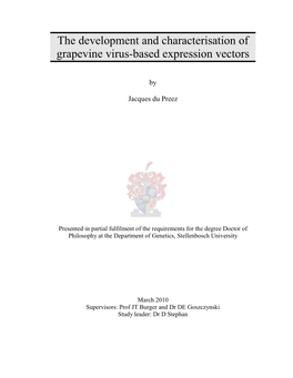 The Development and Characterisation of Grapevine Virus-Based