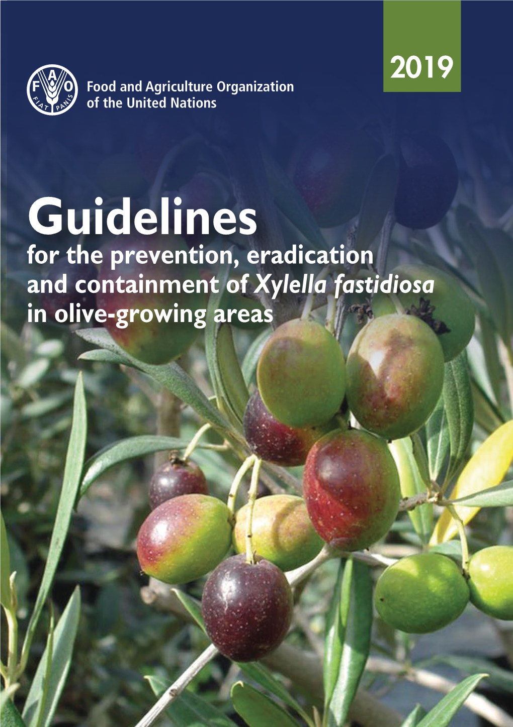 Xylella Fastidiosa in Olive-Growing Areas Guidelines for the Prevention ...