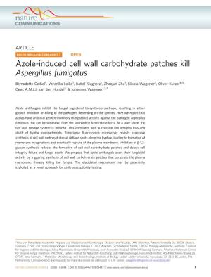 Azole-Induced Cell Wall Carbohydrate Patches Kill Aspergillus Fumigatus