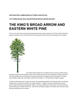 The King's Broad Arrow and Eastern White Pine