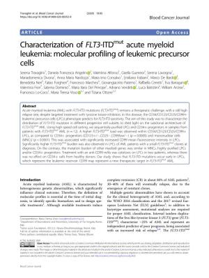 Characterization of FLT3-Itdmut Acute Myeloid Leukemia