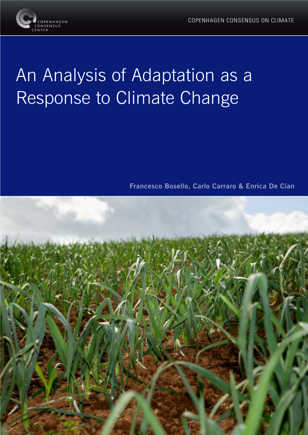 An Analysis of Adaptation As a Response to Climate Change