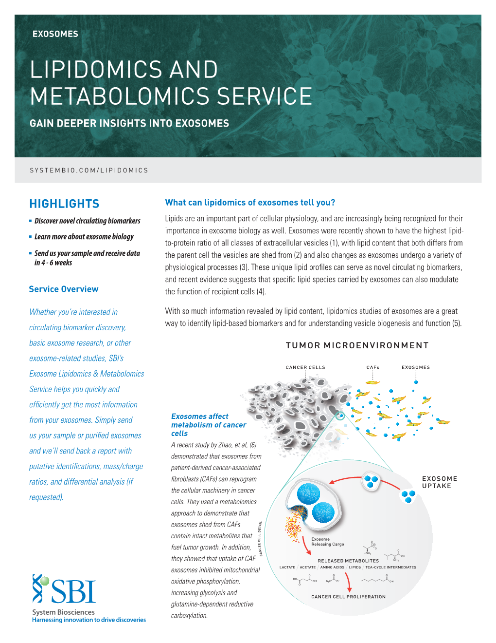 Lipidomics and Metabolomics Service Gain Deeper Insights Into Exosomes