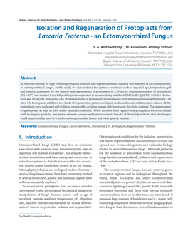Isolation and Regeneration of Protoplasts from Laccaria Fraterna - an Ectomycorrhizal Fungus