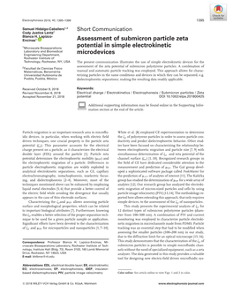 Assessment of Submicron Particle Zeta Potential in Simple Electrokinetic