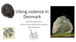Viking Violence in Denmark by Ph.D