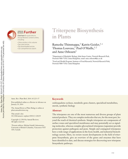Triterpene Biosynthesis in Plants