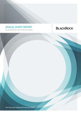 Blackrock UK Focus Fund Annual Report