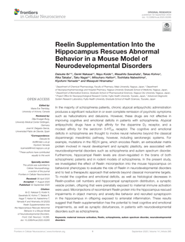 Reelin Supplementation Into the Hippocampus Rescues Abnormal Behavior in a Mouse Model of Neurodevelopmental Disorders