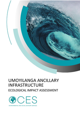 Umoyilanga Ancillary Infrastructure Ecological Impact Assessment