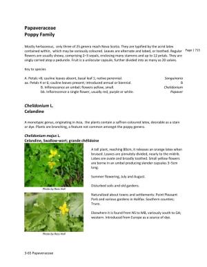 Papaveraceae Poppy Family