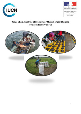 Value Chain Analysis of Freshwater Mussel Or Kai (Batissa Violacea) Fishery in Fiji