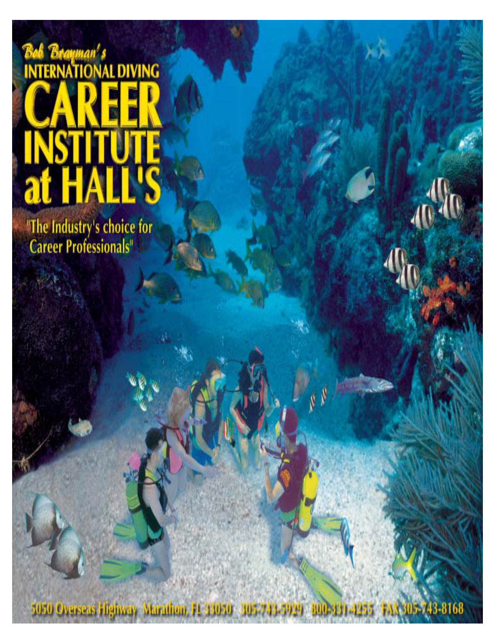 An Exciting, Rewarding Career As a Sport Diving Professional Diving Has Arrived