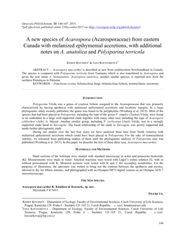 A New Species of Acarospora (Acarosporaceae) from Eastern Canada with Melanized Epihymenial Accretions, with Additional Notes on A