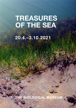 Exhibition Brochure Treasures of the Sea (Pdf)